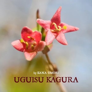 Uguisu Kagura